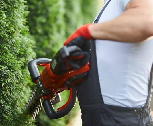 Κοπή Χόρτων Καθαρισμοί Οικοπέδων Agrowood Καθαρισμοί Οικοπέδων Κόβουμε Χόρτα Διόνυσος