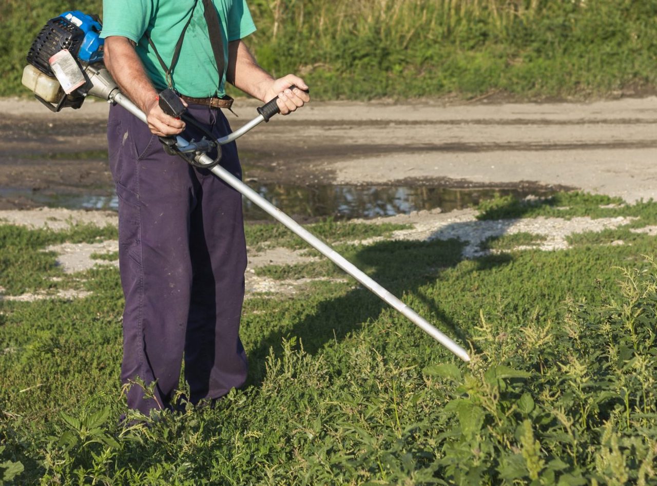 Καθαρισμοί Οικοπέδων Κόβουμε Χόρτα Παλλήνη