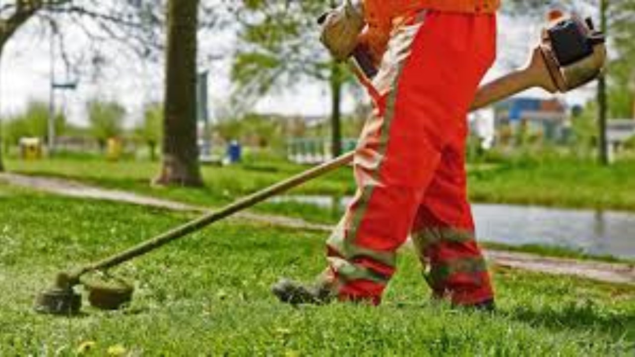 Καθαρισμοί Οικοπέδων Κόβουμε Χόρτα Τατόι