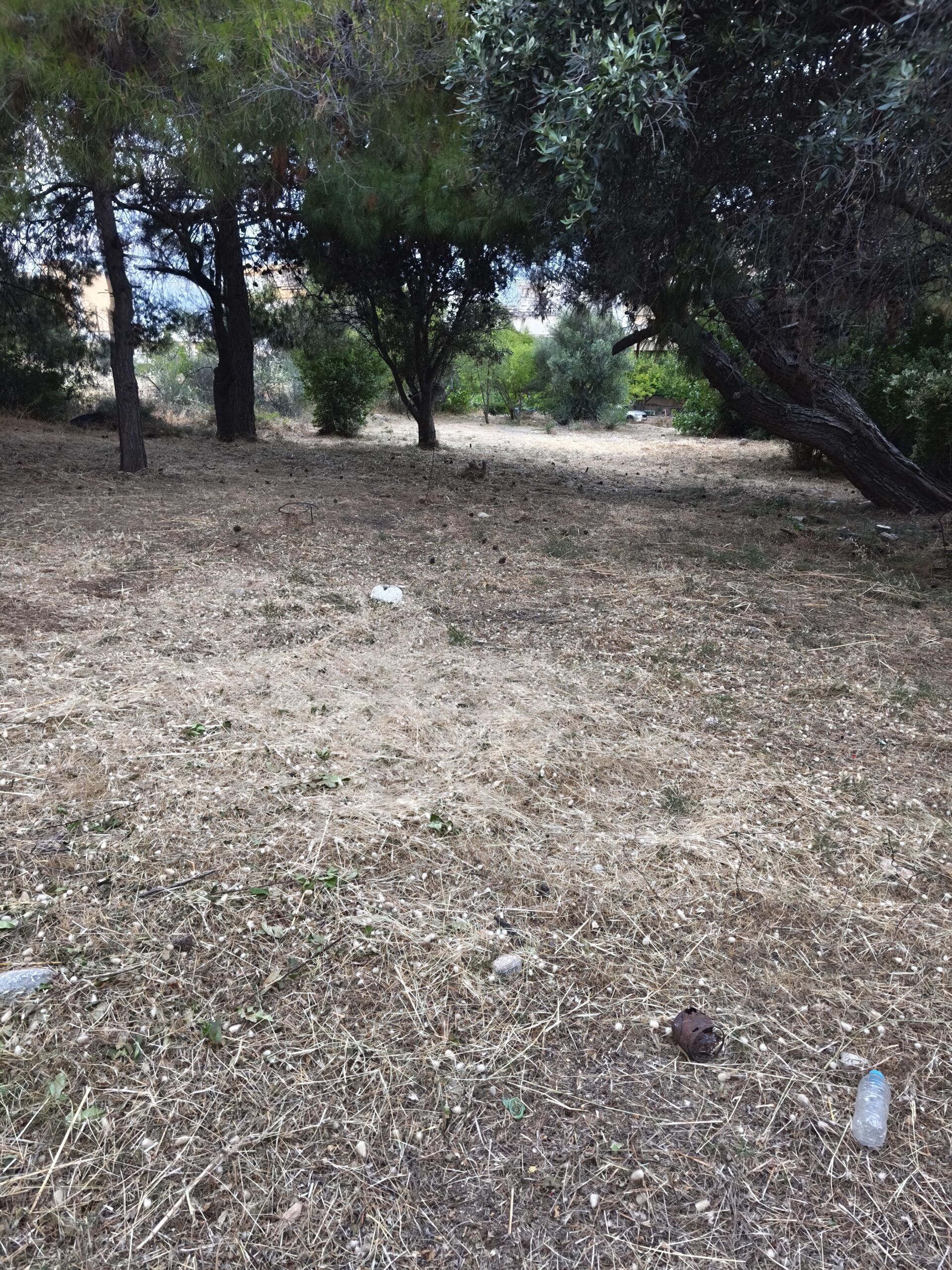 Μετά